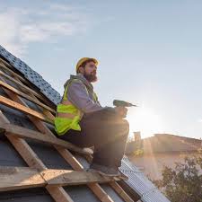 Best Roof Maintenance and Cleaning  in Spencer, WV